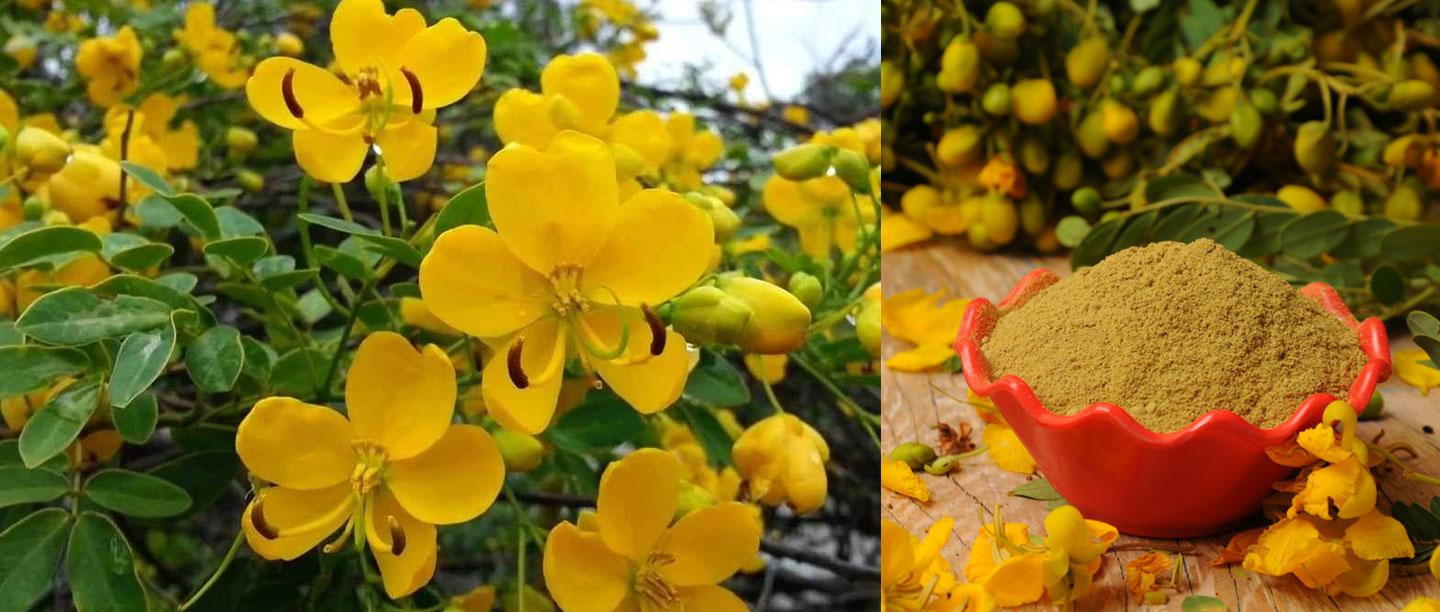 பெண்களுக்கான அழகு பொருட்கள் – எப்படி சரியான அழகுப் பொருட்களை தேர்வு செய்வது?