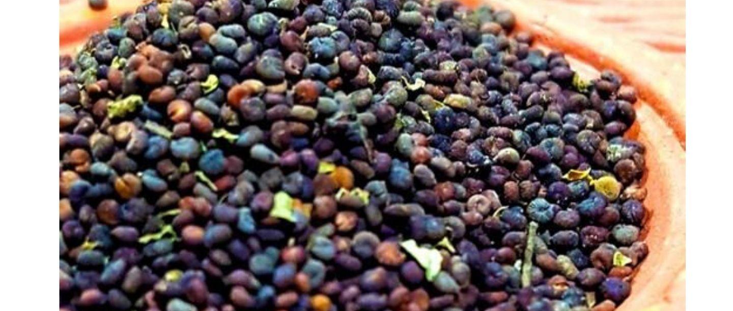 பல நற்பலன்கள் கொண்ட அற்புத மூலிகை நாய் கடுகு!