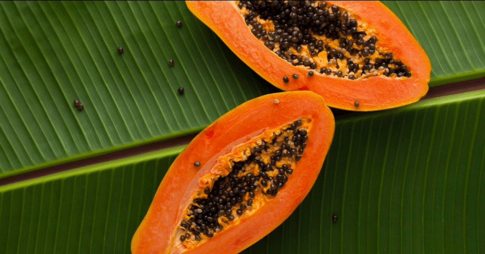 பப்பாளி விதையின் பயன்கள் மற்றும் அதைப் பயன்படுத்தும் முறைகள் (Health Benefits Of Papaya Seeds In Tamil)