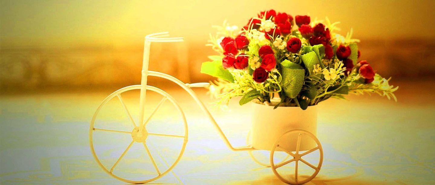 இனிய காலை வணக்கத்தோடு உங்கள் நாளை மகிழ்ச்சியோடு தொடங்குங்கள்!